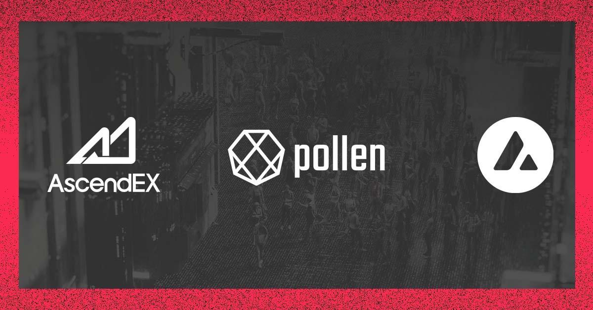Pollen DeFi $ PLN sera le premier jeton Avalanche à figurer sur AscendEX
