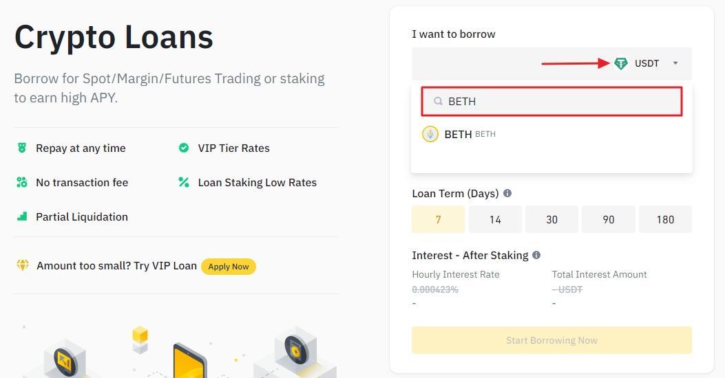 searching for borrowable asset on binance crypto loans