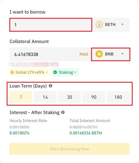 crypto loan parameters on Binance Loans