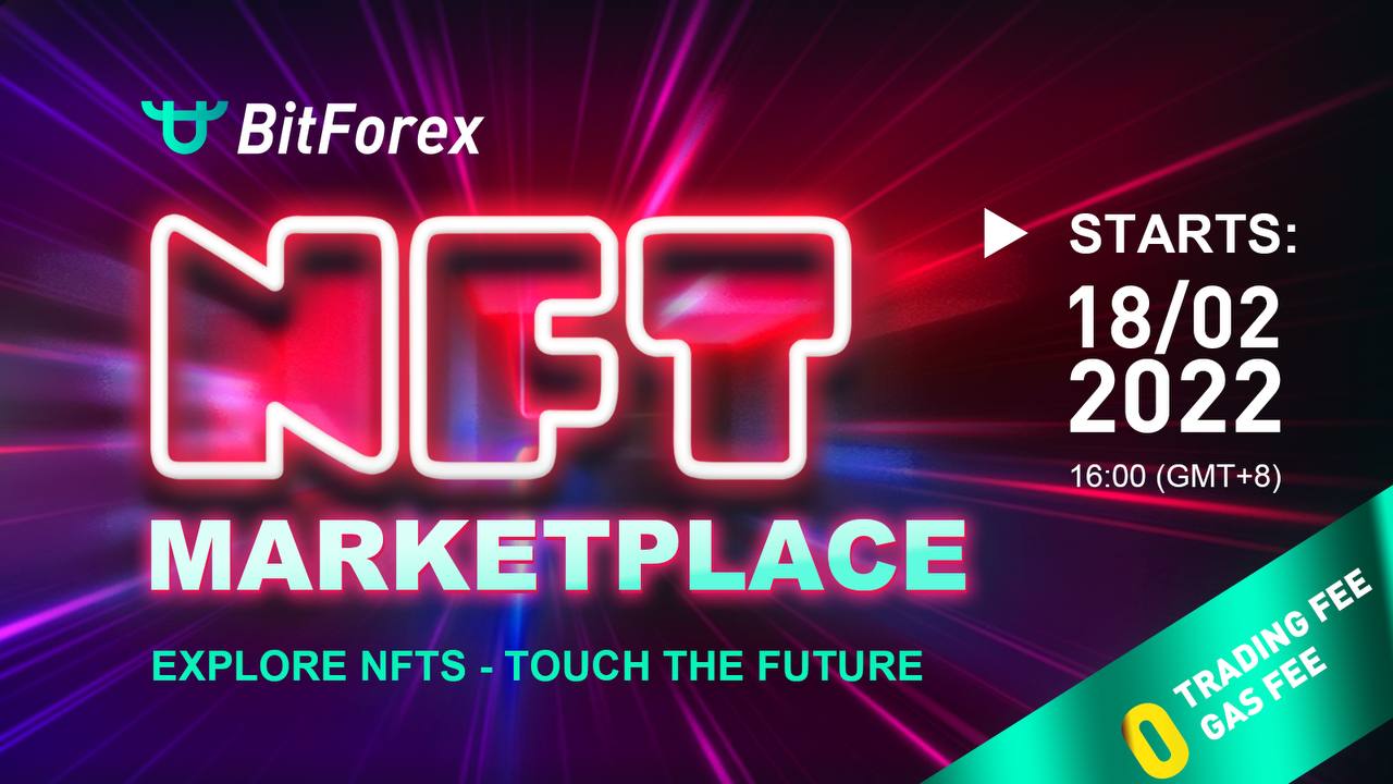 BitForex NFT Marketplace Is Live Now!