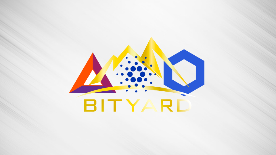 The Top 3 Altcoins to Invest in on Bityard in 2021
