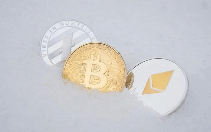 coins for crypto winter
