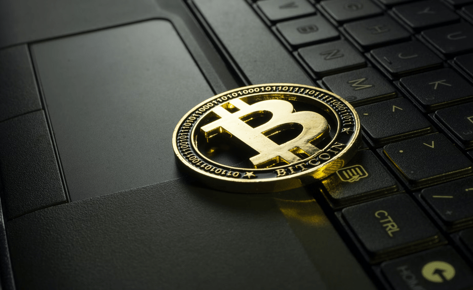 Dogeliens, Wrapped Bitcoin et Litecoin sont des pièces clés pour surmonter la peur autour de la crypto-monnaie CoinCheckup Blog