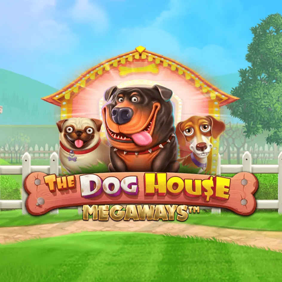 the dog house megaways