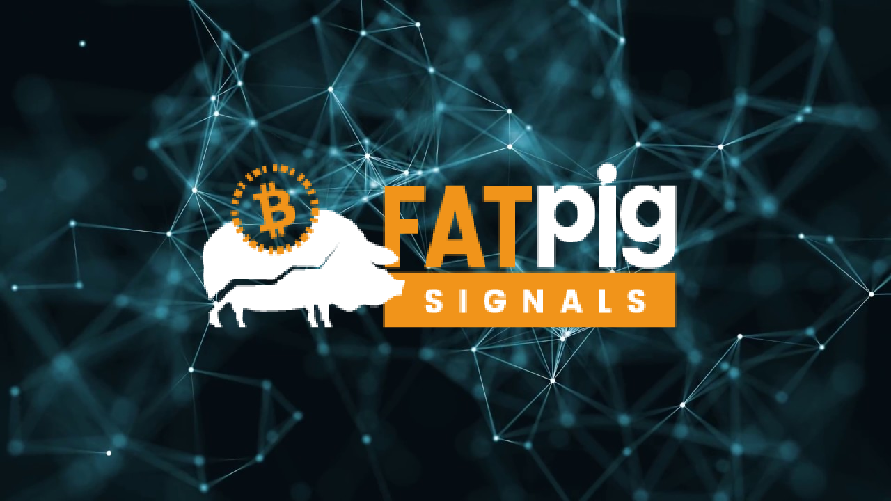 pig crypto price prediction